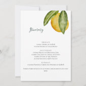 Invitation Belle Fête de Bachelorette de citron vert (Dos)