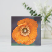 Invitation belle fleur de pavot sauvage doré toute la fête (Debout devant)