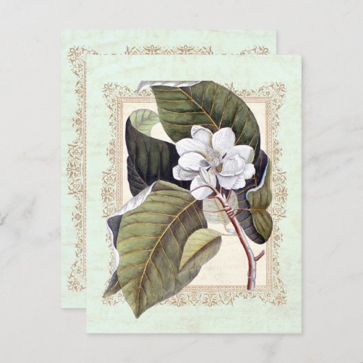 Invitation Belle Magnolia Blanche Dîner Formel (Devant / Derrière)