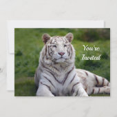 Invitation Belle photo de tigre blanc Anniversaire (Devant)