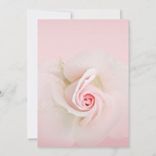 Invitation Belle Soft rose Rose Elégant Mariage (Dos)