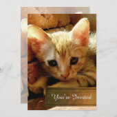 Invitation Belle soirée Little Kitten (Devant / Derrière)