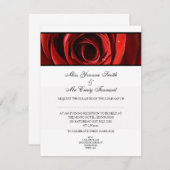 Invitation Belle Soirée Mariage Rose rouge - Blanc (Devant / Derrière)