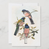 Invitation Belle suite d'invitation à la Birdie antique (Dos)