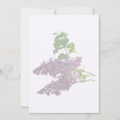 Invitation Belles Lilacs (Dos)