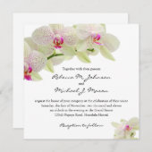 Invitation Belles orchidées blanches et roses chaudes (Devant / Derrière)