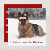 Invitation Berger allemand de vacances (Devant / Derrière)