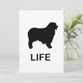 Invitation berger australien (Debout devant)