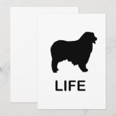 Invitation berger australien (Devant / Derrière)