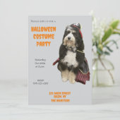 Invitation Bernedoodle Chien dans Pirate Halloween Costume Pa (Debout devant)