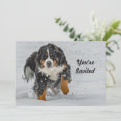 Invitation Bernese Mountain Dog photo Neige Anniversaire (Debout devant)