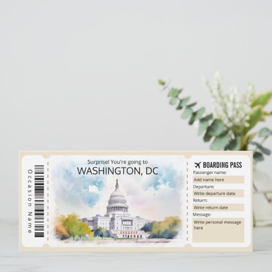 Invitation Billet d'avion Editable Washington DC Plane, Washi (Debout devant)