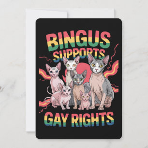 Invitation Bingus soutient les droits homosexuels Sphynx Cat 