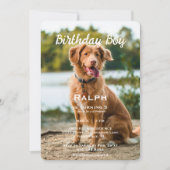 Invitation Birthday Boy Pet Photo Anniversaire Party (Devant)