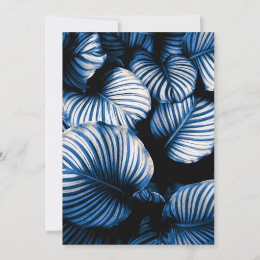 Invitation Black and Blue Tropical Palm Engagement Party (Dos)