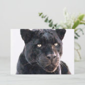 Invitation Black Jaguar (Debout devant)