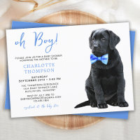 Black Labrador Baby shower Chien Chien Chien bleu 