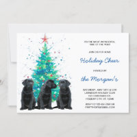 Black Labrador Retriever Holiday mignon chien chio