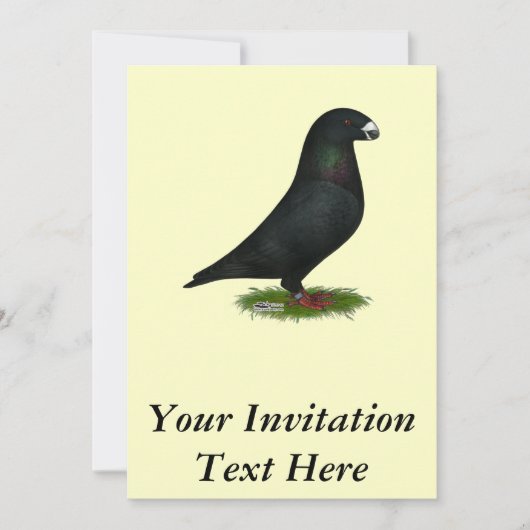Invitation Black Show Racer (Devant)