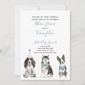 Invitation Black White Blue Dog Boy's 2nd Birthday Party (Devant)