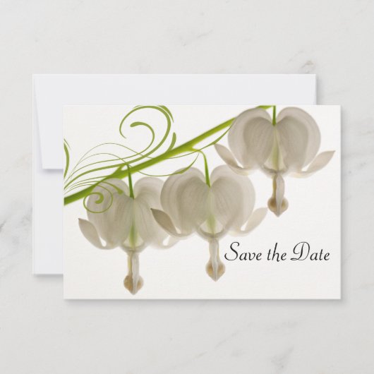 Invitation Blanc Bleeding Hearts Flower Wedding Enregistrer l (Devant)