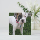 Invitation blanche de chiot de boxeur (Debout devant)