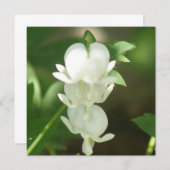 Invitation blanche de défenseur de la veuve et de (Devant / Derrière)