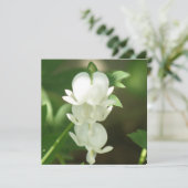 Invitation blanche de défenseur de la veuve et de (Debout devant)