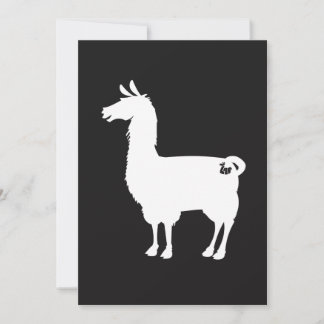 Invitation blanche de lama