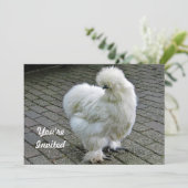 Invitation Blancs de poulet Silkie photo Anniversaire (Debout devant)
