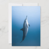 Invitation Bleu de la marine sous la mer Dolphin Boho Beach M (Dos)