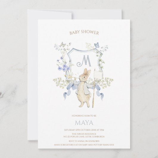 Invitation Bleu En vichy Peter le Baby shower Rabbit MUTED BL (Devant)