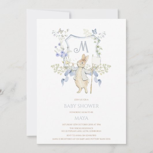 Invitation Bleu En vichy Peter le Baby shower Rabbit MUTED BL (Devant)