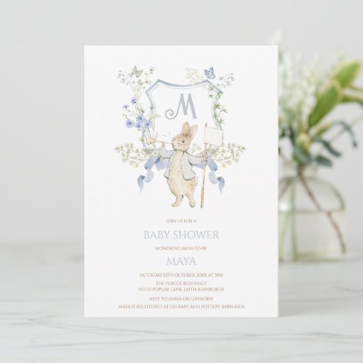 Invitation Bleu En vichy Peter le Baby shower Rabbit MUTED BL (Debout devant)