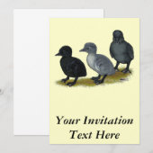 Invitation Bleu Runner Ducklings (Devant / Derrière)