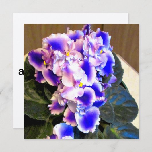 Invitation Bleu violet africain (Devant / Derrière)