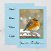 Invitation Bleuet de l'Est en neige - Photo originale (Devant / Derrière)