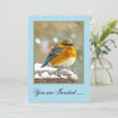 Invitation Bleuet de l'Est en neige - Photo originale (Debout devant)