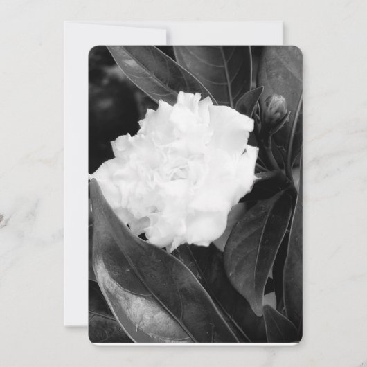 Invitation Bloom monochrome (Devant)