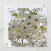 Invitation - Blooming Bradford Pear (Devant)