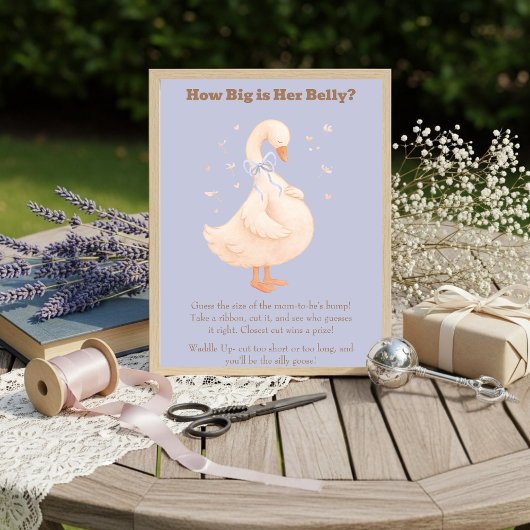 Invitation Blue A Silly Goose How Big Is Her Belly 