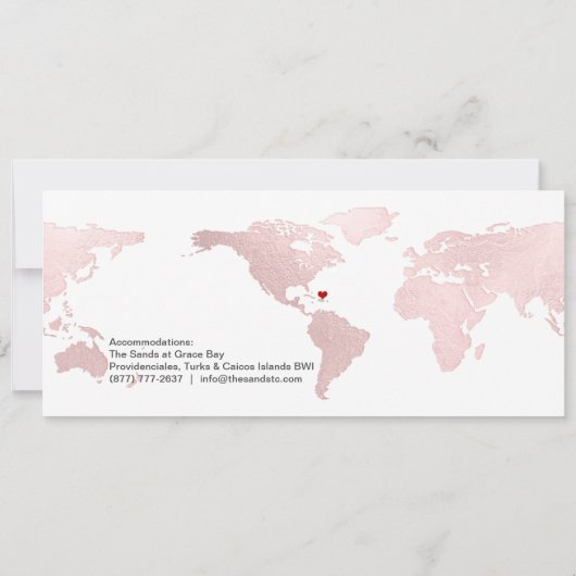 Invitation Boarding Pass Save the Date, Blush World Map (Dos)