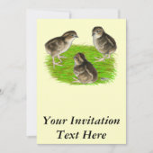 Invitation Bobwhite Quail (Devant)