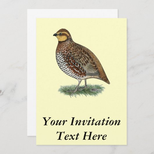 Invitation Bobwhite Quail Hen (Devant / Derrière)