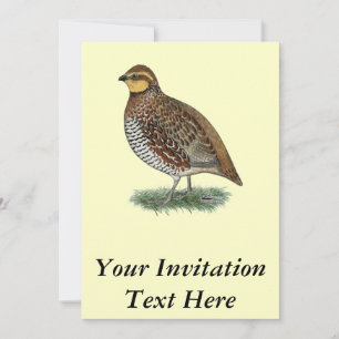 Invitation Bobwhite Quail Hen