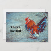 Invitation Boeuf couleur coq photo Anniversaire (Devant)
