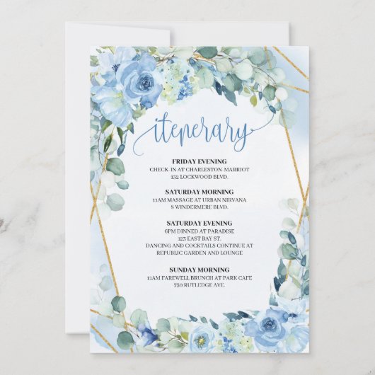 Invitation Boho Blush Floral Gold Frame Bachelorette Week-end (Dos)