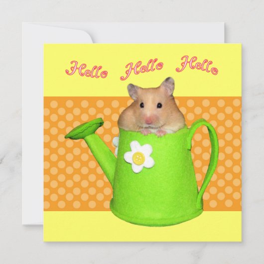 Invitation Bonjour hello hammam (Devant)