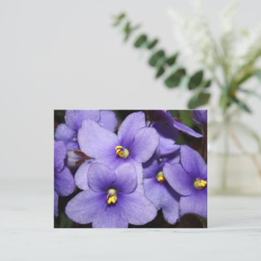 Invitation Boquet violet (Debout devant)