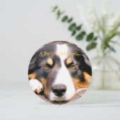 INVITATION BORDER COLLIE (Debout devant)